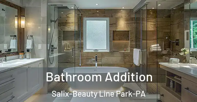 inner Bathroom imggen Bathroom Addition Salix-Beauty Line Park-PA