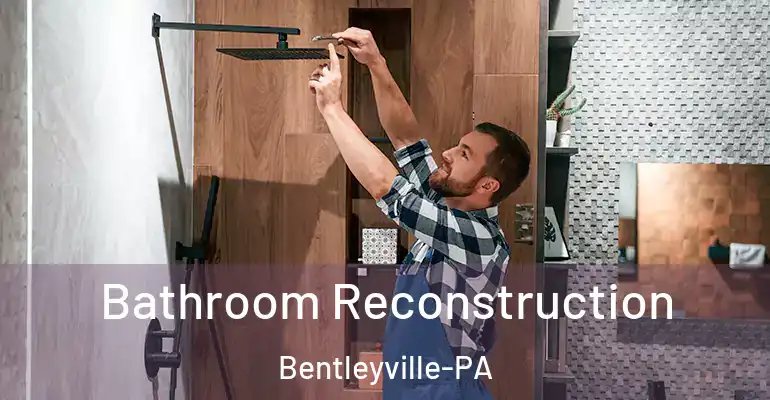 inner Bathroom imggen Bathroom Reconstruction Bentleyville-PA
