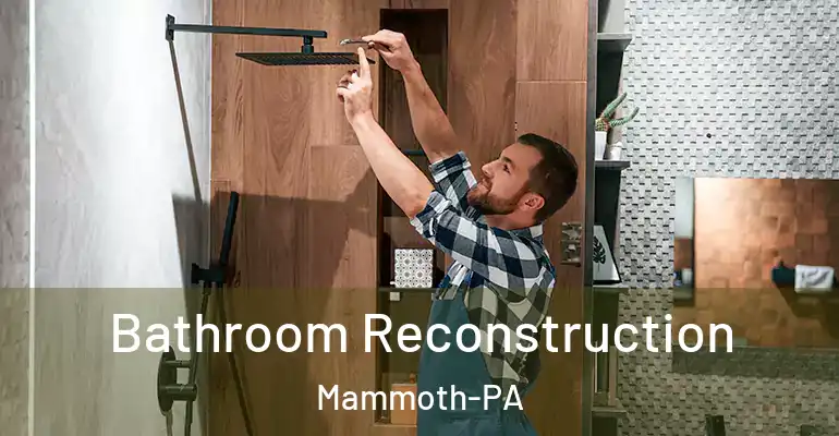 inner Bathroom imggen Bathroom Reconstruction Mammoth-PA