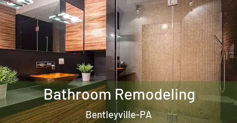 inner Bathroom imggen Bathroom Remodeling Bentleyville-PA