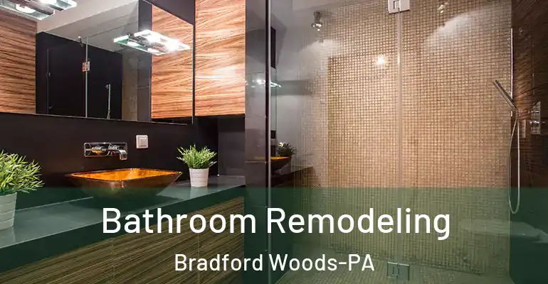 inner Bathroom imggen Bathroom Remodeling Bradford Woods-PA