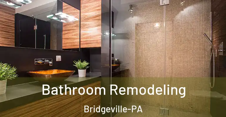 inner Bathroom imggen Bathroom Remodeling Bridgeville-PA