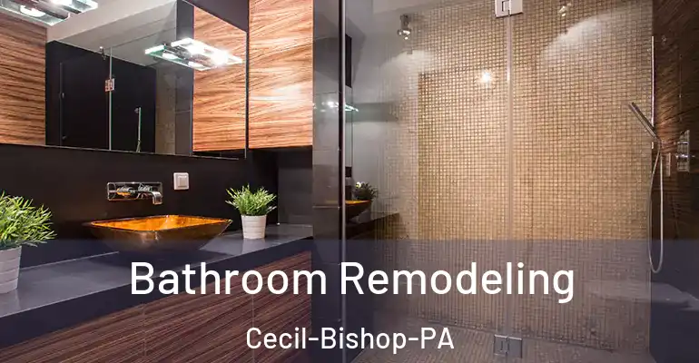 inner Bathroom imggen Bathroom Remodeling Cecil-Bishop-PA