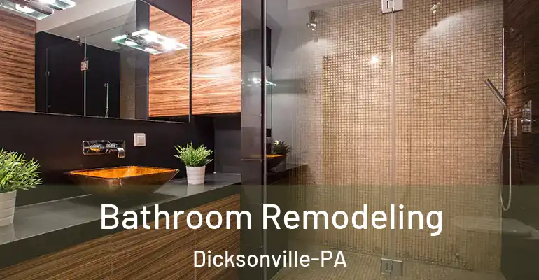 inner Bathroom imggen Bathroom Remodeling Dicksonville-PA