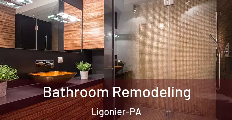 inner Bathroom imggen Bathroom Remodeling Ligonier-PA
