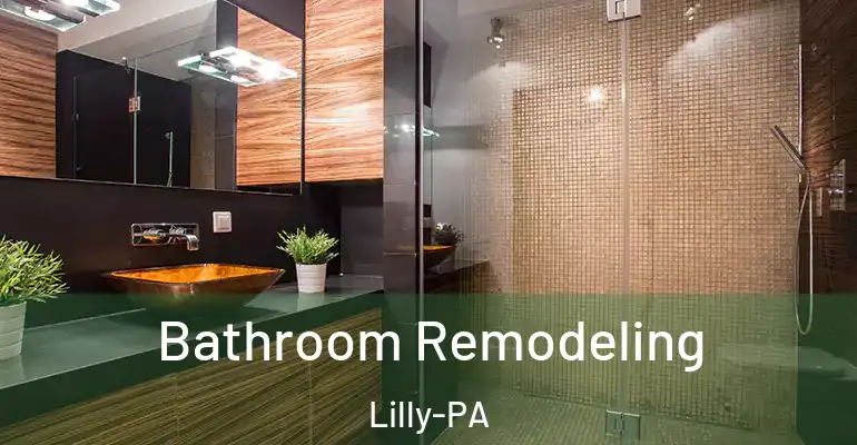 inner Bathroom imggen Bathroom Remodeling Lilly-PA