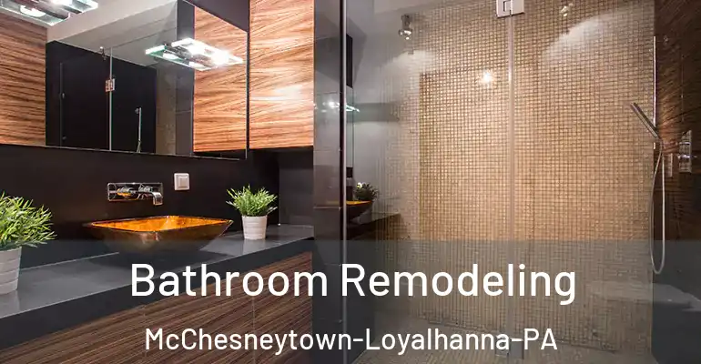 inner Bathroom imggen Bathroom Remodeling McChesneytown-Loyalhanna-PA
