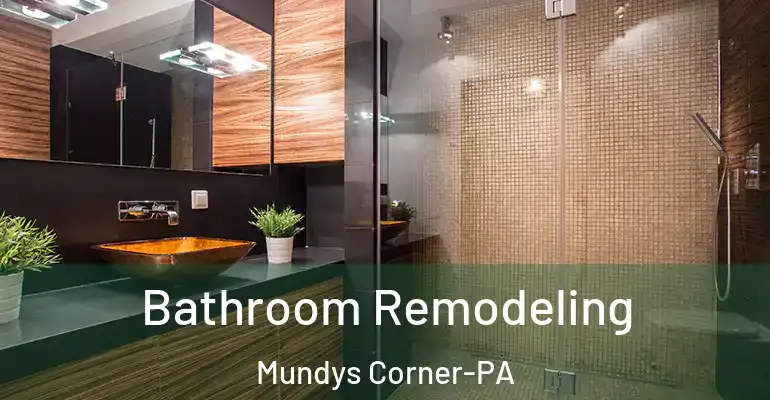 inner Bathroom imggen Bathroom Remodeling Mundys Corner-PA