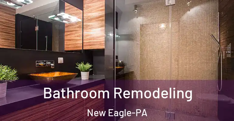 inner Bathroom imggen Bathroom Remodeling New Eagle-PA