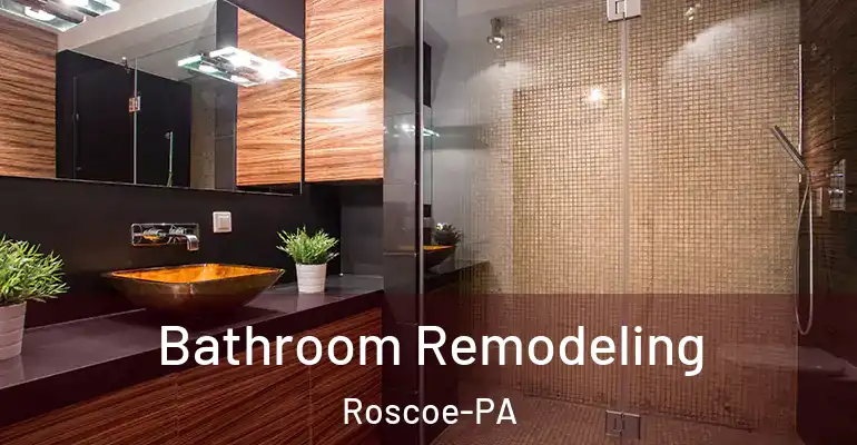 inner Bathroom imggen Bathroom Remodeling Roscoe-PA