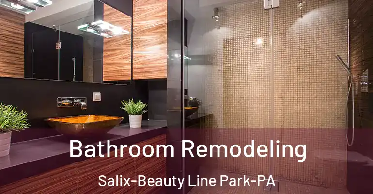 inner Bathroom imggen Bathroom Remodeling Salix-Beauty Line Park-PA