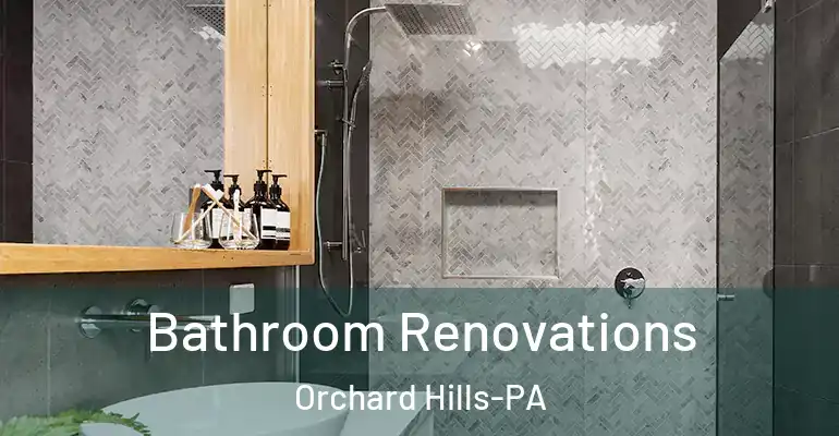 inner Bathroom imggen Bathroom Renovations Orchard Hills-PA