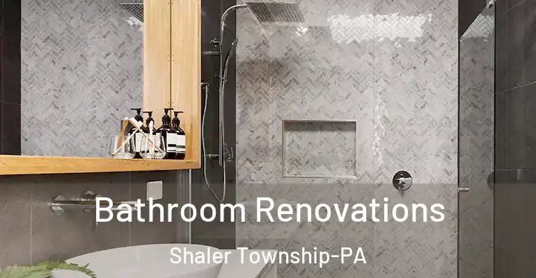 inner Bathroom imggen Bathroom Renovations Shaler Township-PA