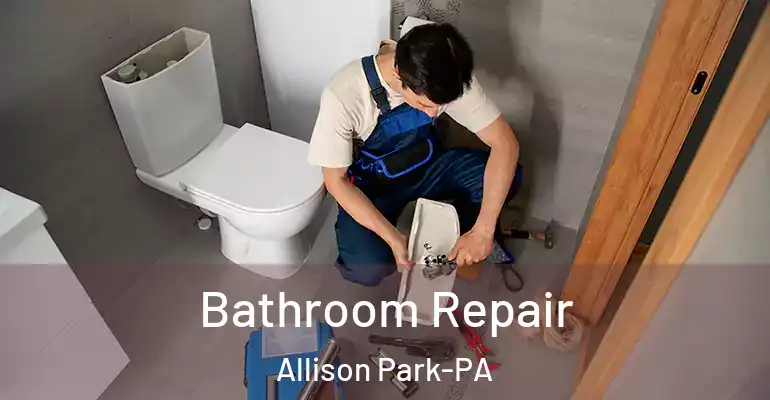 inner Bathroom imggen Bathroom Repair Allison Park-PA