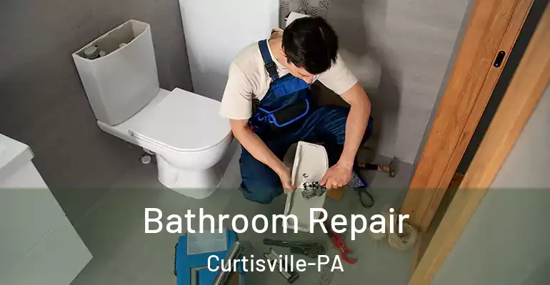 inner Bathroom imggen Bathroom Repair Curtisville-PA