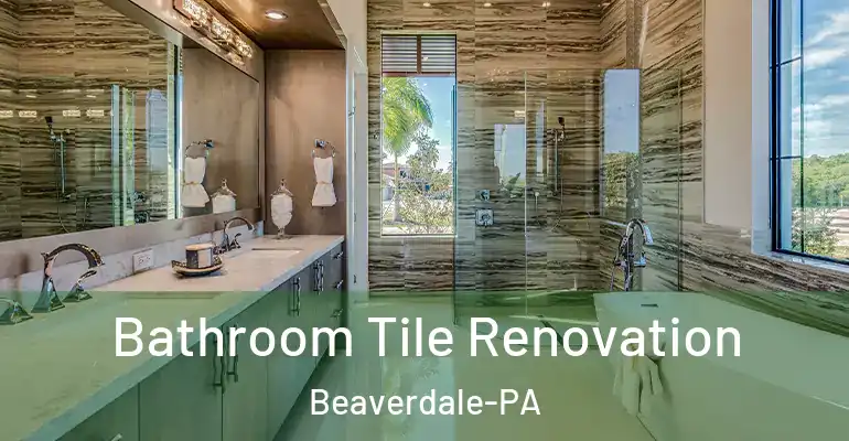 inner Bathroom imggen Bathroom Tile Renovation Beaverdale-PA