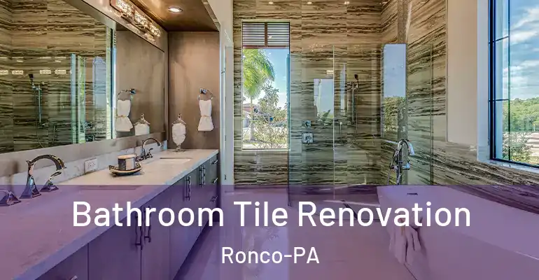 inner Bathroom imggen Bathroom Tile Renovation Ronco-PA