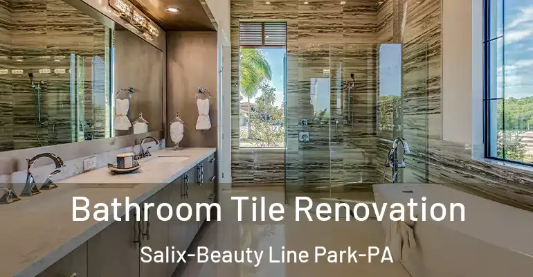 inner Bathroom imggen Bathroom Tile Renovation Salix-Beauty Line Park-PA