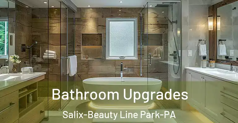 inner Bathroom imggen Bathroom Upgrades Salix-Beauty Line Park-PA