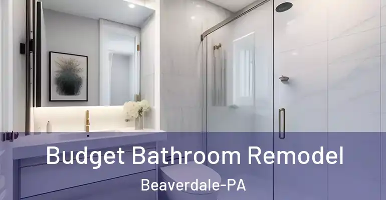 inner Bathroom imggen Budget Bathroom Remodel Beaverdale-PA
