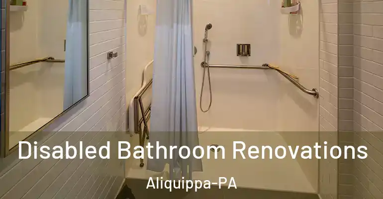 inner Bathroom imggen Disabled Bathroom Renovations Aliquippa-PA
