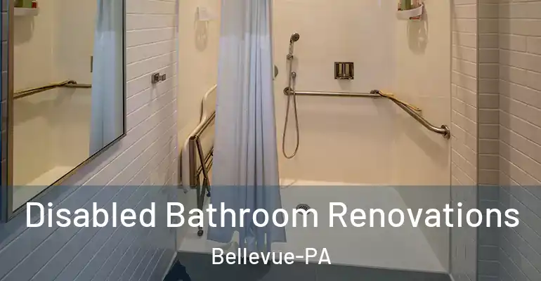 inner Bathroom imggen Disabled Bathroom Renovations Bellevue-PA