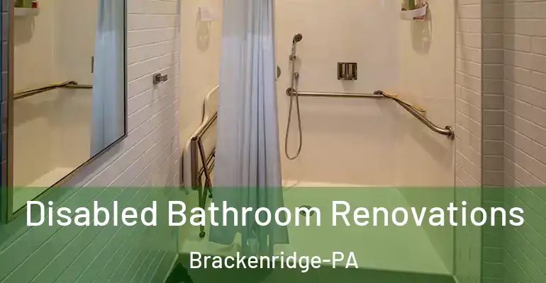 inner Bathroom imggen Disabled Bathroom Renovations Brackenridge-PA