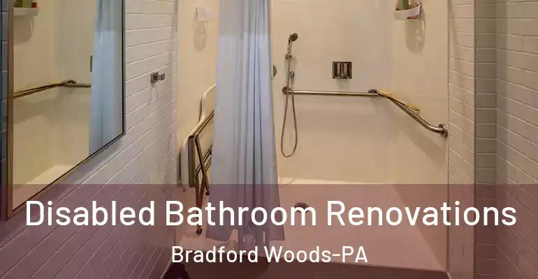 inner Bathroom imggen Disabled Bathroom Renovations Bradford Woods-PA