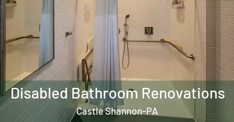inner Bathroom imggen Disabled Bathroom Renovations Castle Shannon-PA