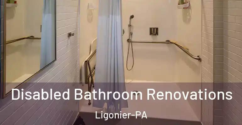 inner Bathroom imggen Disabled Bathroom Renovations Ligonier-PA