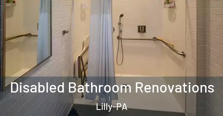 inner Bathroom imggen Disabled Bathroom Renovations Lilly-PA