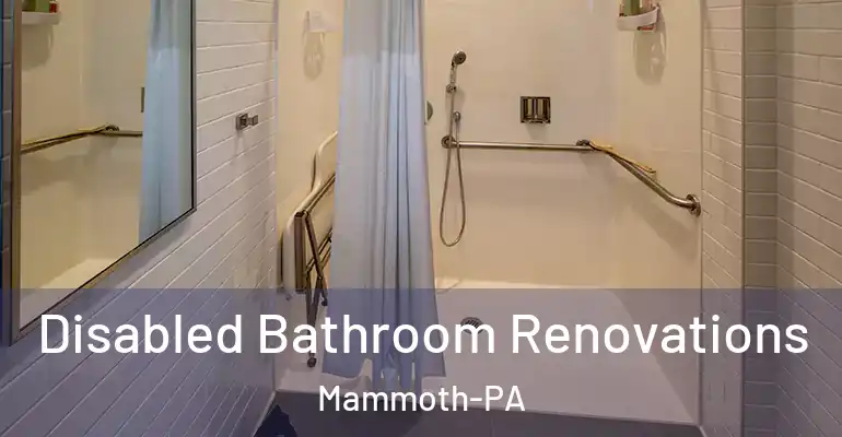 inner Bathroom imggen Disabled Bathroom Renovations Mammoth-PA