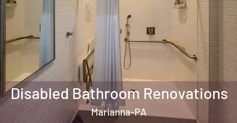 inner Bathroom imggen Disabled Bathroom Renovations Marianna-PA