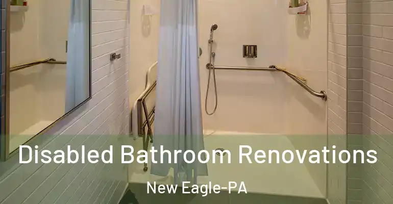 inner Bathroom imggen Disabled Bathroom Renovations New Eagle-PA