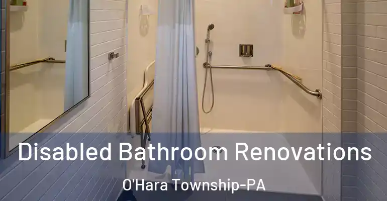inner Bathroom imggen Disabled Bathroom Renovations O'Hara Township-PA