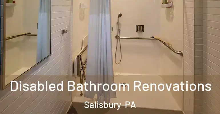 inner Bathroom imggen Disabled Bathroom Renovations Salisbury-PA