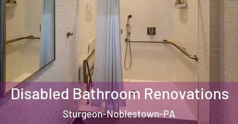 inner Bathroom imggen Disabled Bathroom Renovations Sturgeon-Noblestown-PA