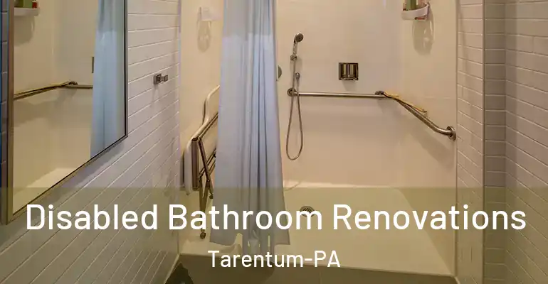 inner Bathroom imggen Disabled Bathroom Renovations Tarentum-PA