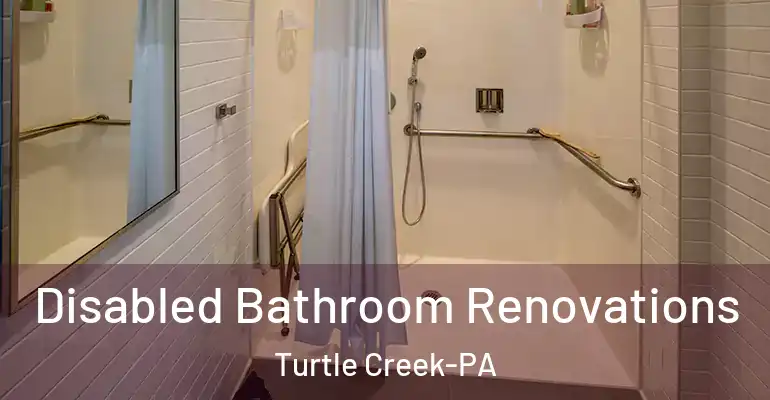inner Bathroom imggen Disabled Bathroom Renovations Turtle Creek-PA