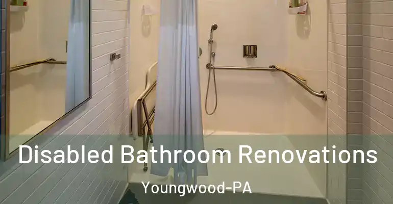 inner Bathroom imggen Disabled Bathroom Renovations Youngwood-PA