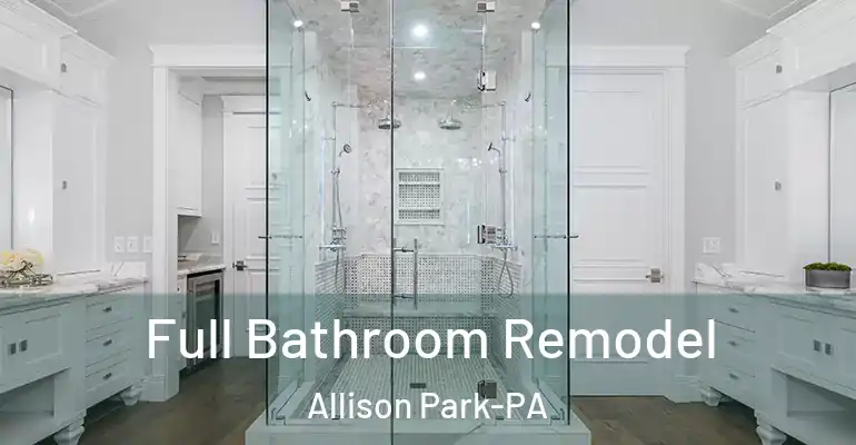 inner Bathroom imggen Full Bathroom Remodel Allison Park-PA