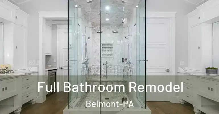 inner Bathroom imggen Full Bathroom Remodel Belmont-PA
