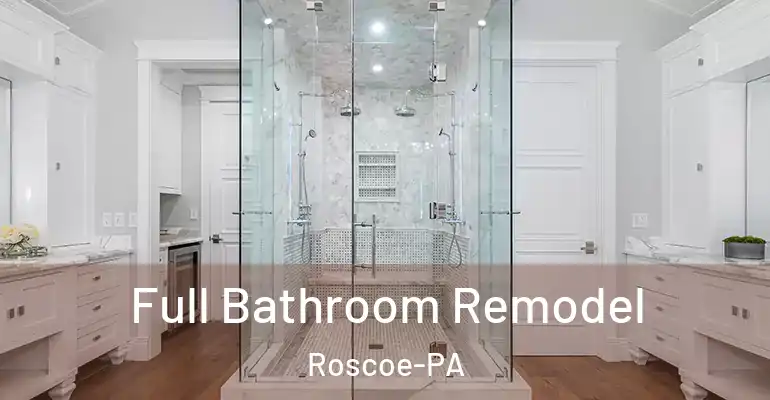 inner Bathroom imggen Full Bathroom Remodel Roscoe-PA