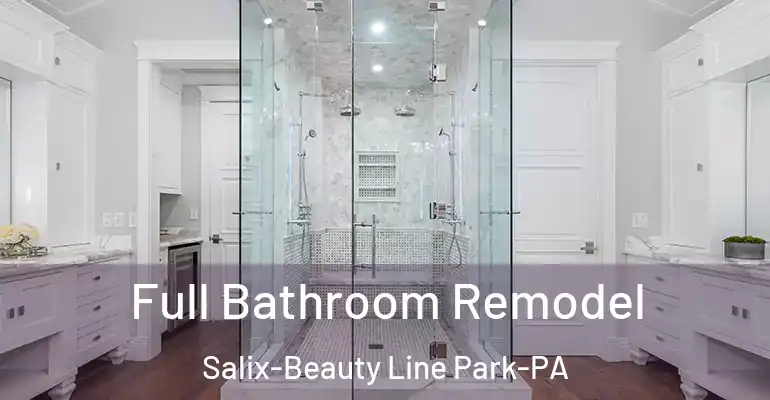 inner Bathroom imggen Full Bathroom Remodel Salix-Beauty Line Park-PA