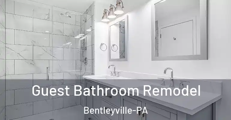 inner Bathroom imggen Guest Bathroom Remodel Bentleyville-PA