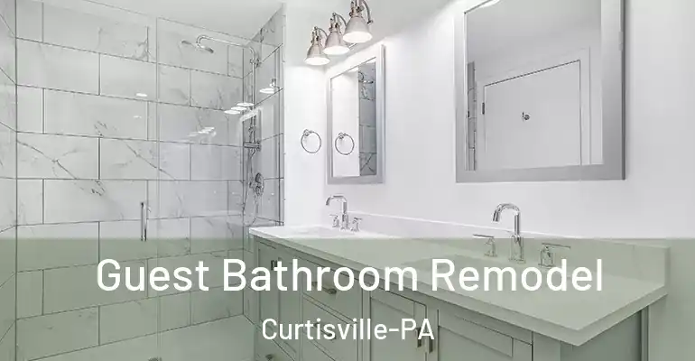 inner Bathroom imggen Guest Bathroom Remodel Curtisville-PA