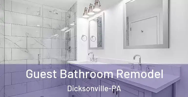 inner Bathroom imggen Guest Bathroom Remodel Dicksonville-PA