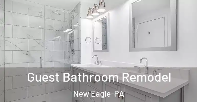 inner Bathroom imggen Guest Bathroom Remodel New Eagle-PA