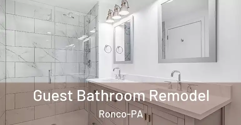 inner Bathroom imggen Guest Bathroom Remodel Ronco-PA