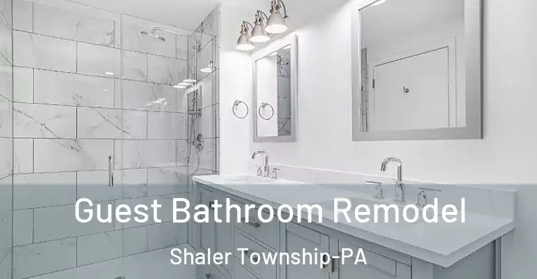 inner Bathroom imggen Guest Bathroom Remodel Shaler Township-PA